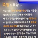 족발클럽