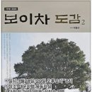 대운차향 이미지
