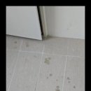 클린케어 이미지