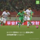 최용수 카카오 검색결과