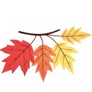 코코유치원 이미지