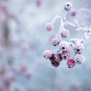 진스킨의원 이미지