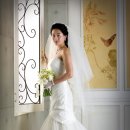 정선경 카카오 검색결과