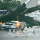 고향수퍼민박 네이버블로그