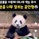 바오치과의원 이미지