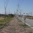 삼기파출소 티스토리