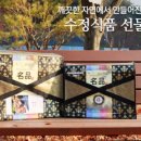 강다짐충남