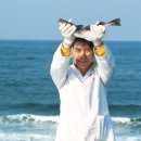 명태한마리 이미지