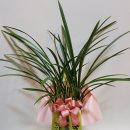 아이원약국 이미지