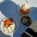 윤봉길체육관 | 예산 벚꽃 윤봉길 마라톤 후기 실시간 벚꽃 분위기 주차 꿀팁 이색색 데이트 추천