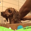 두류동물병원 이미지