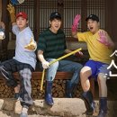 더슬기로운생활 티스토리