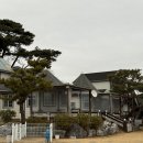 잔디수산 | [조이앤원펜션] 태안 애견동반 숙소 추천｜잔디운동장 대형견 환영 수영장 있는 조이&amp;원 펜션 후기