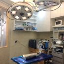 정이룸 동물병원 이미지