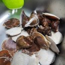 가을이네민박 이미지