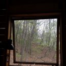 별스런 산책 이미지