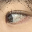 세븐일레븐 군산미장지구점 | 군산 미장동 속눈썹펌 가성비 좋고 꼼꼼한 피넛브로우