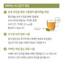 티그린 이미지