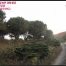 가덕리 경로당 이미지