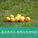 비치센타골프존 이미지