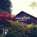 하늘아래 첫동네 꿩밭 | 강원인제))하늘아래첫동네_꿩밭