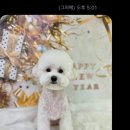 까끄숑 이미지