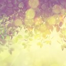 내고장인문학 이미지