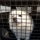 미죽초등학교 이미지