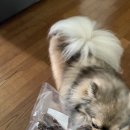 7월7일치과의원 이미지