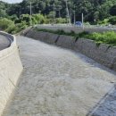 안성 월동천 이미지