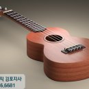 신나는 우쿨렐레 이미지