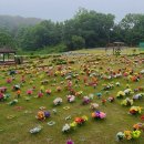 대전추모공원 이미지