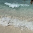 꿈의바다 이미지