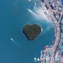 완도 주도 상록수림 이미지