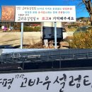 원조고바우식당 조선비즈