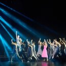 아르헨티나탱고(야) 이미지