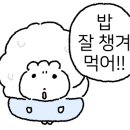 티어하우스 이미지