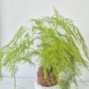 윤희공방 이미지