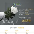 원장례서비스