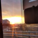 꿈돌이어린이공원 | 2탄] 대전 갈만한 곳을 찾아서! (으능정이스카이로드 / 꿈돌이 하우스 / 대전 엑스포 한빛탑 / 대전...