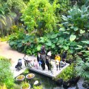 서울식물원 이미지