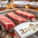 고기9단침산