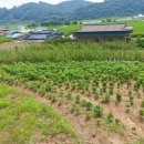 진성면사무소 이미지