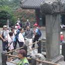 비에스관광개발주
