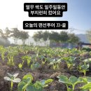 동락원 - 안성시 죽주로 231 | 동락원