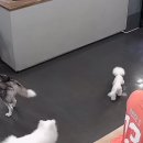 마더카페