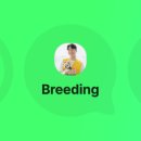 댕댕학당 이미지