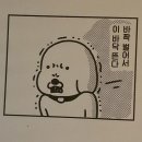 카페콩티