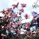 김*수 이미지