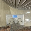 일신 | 부산 좌천 일신기독병원 제왕절개, 인큐입원 후기 (4~7일차)